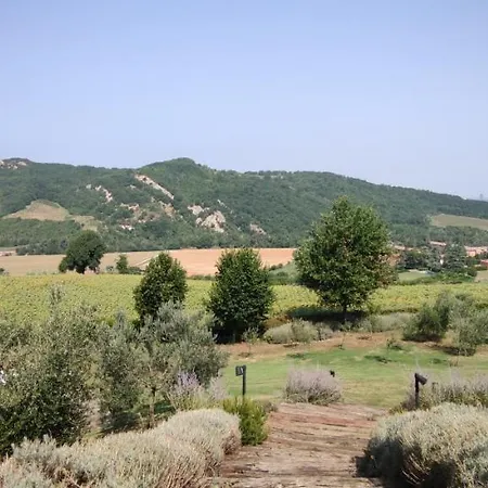 Casa In Locanda 萨韦纳河畔圣拉扎罗